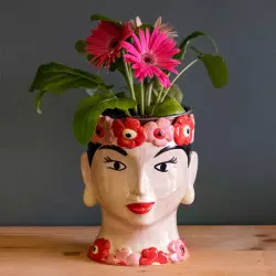 Frida Gerbera (Plante + cache pot)