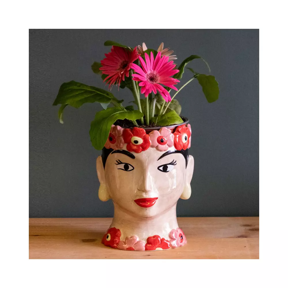 Frida Gerbera (Plante + cache pot)