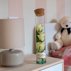 Rosarium blanc 3 roses