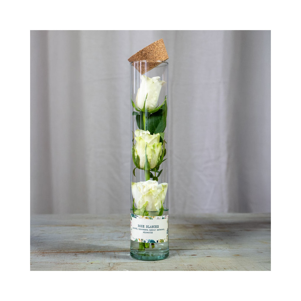 Rosarium blanc 3 roses