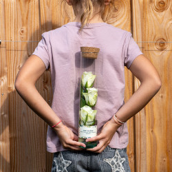 Rosarium blanc 3 roses