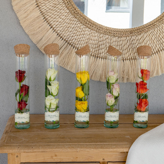 Rosarium orange 3 roses