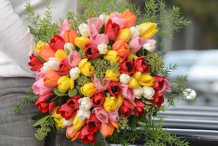 bouquet de tulipe jardin des fleurs