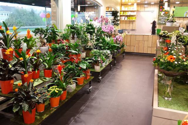 magasins jardin des fleurs dunkerque