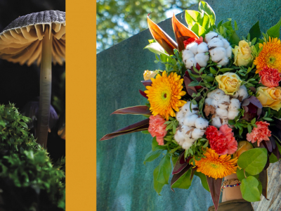 Les collections du mois de Novembre : des bouquets pour un automne en couleurs !